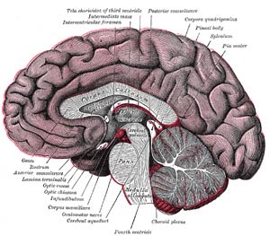 The Social Navigator App enhances behavior modification techniques, intervention strategies, and therapeutic environments for kids with ADD/ADHD (Attention Deficit Disorder/Attention Deficit Hyperactivity Disorder), high functioning autism, Asperger's Syndrome, Oppositional Defiant Disorder (ODD), as well as social anxiety and mood disorders